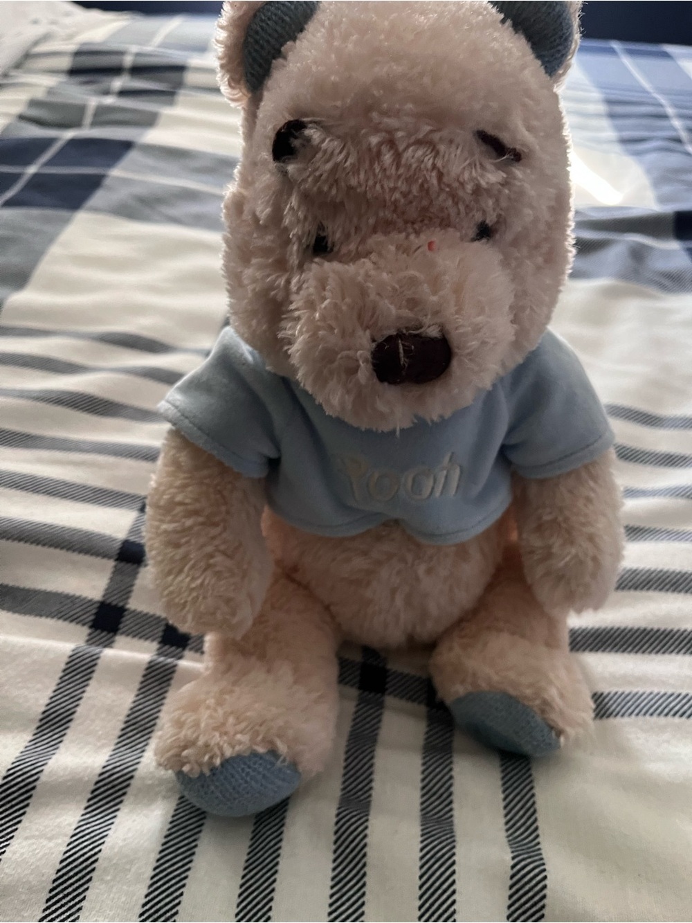 Vintage Winnie The Pooh Bear Stuffed Animal Plush The Disney Store blue tee shir